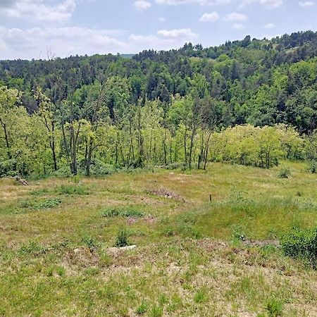 Ecrin De Verdure En Ardeche Verte Colombier-le-Vieux Exteriér fotografie