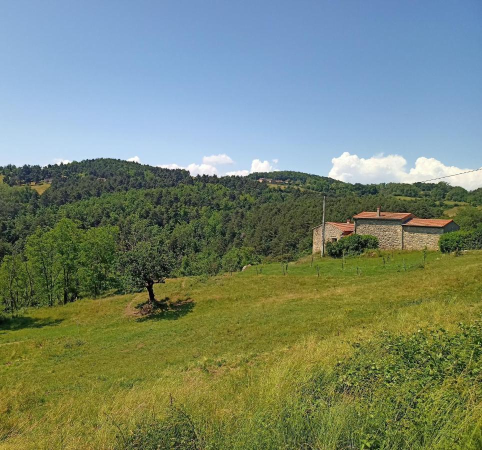 Ecrin De Verdure En Ardeche Verte Colombier-le-Vieux Exteriér fotografie